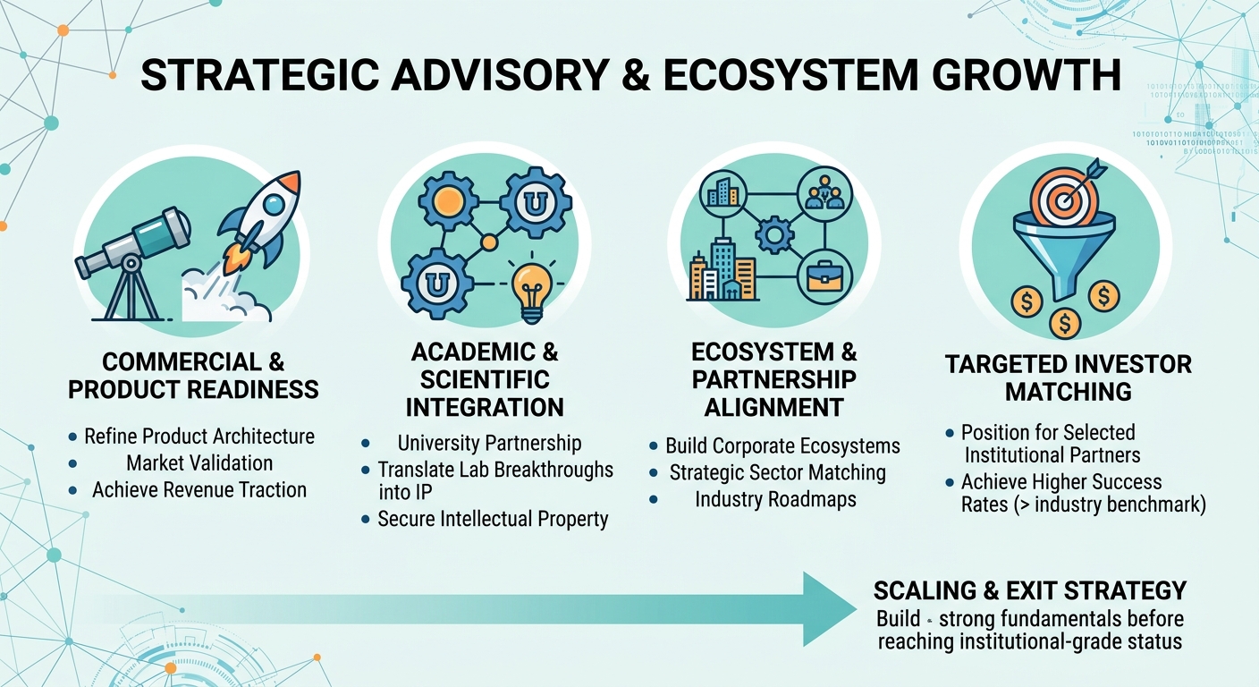 Strategic Advisory Beyond Traditional Venture Capital for Scale-Ups and Research Spin-Outs Japan
